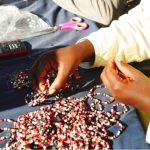 Madikwe Rural Development Programme