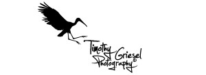 Timothy Logo